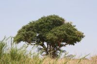 IMG 1680 &ndash; &copy; Philip Seidel (Eberhardt TRAVEL)