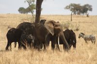 IMG 1701 &ndash; &copy; Philip Seidel (Eberhardt TRAVEL)