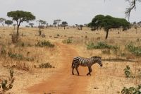IMG 1723 &ndash; &copy; Philip Seidel (Eberhardt TRAVEL)