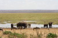 IMG 1730 &ndash; &copy; Philip Seidel (Eberhardt TRAVEL)