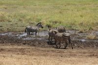 IMG 1753 &ndash; &copy; Philip Seidel (Eberhardt TRAVEL)