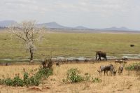 IMG 1817 &ndash; &copy; Philip Seidel (Eberhardt TRAVEL)