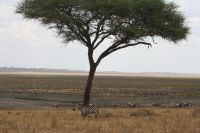 IMG 1840 &ndash; &copy; Philip Seidel (Eberhardt TRAVEL)