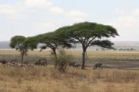 IMG 1842 &ndash; &copy; Philip Seidel (Eberhardt TRAVEL)