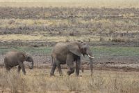 IMG 1849 &ndash; &copy; Philip Seidel (Eberhardt TRAVEL)