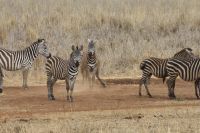 IMG 1866 &ndash; &copy; Philip Seidel (Eberhardt TRAVEL)