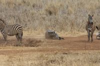 IMG 1867 &ndash; &copy; Philip Seidel (Eberhardt TRAVEL)