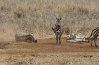 IMG 1868 &ndash; &copy; Philip Seidel (Eberhardt TRAVEL)