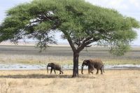IMG 1875 &ndash; &copy; Philip Seidel (Eberhardt TRAVEL)
