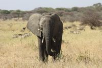 IMG 1888 &ndash; &copy; Philip Seidel (Eberhardt TRAVEL)