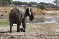 IMG 1890 &ndash; &copy; Philip Seidel (Eberhardt TRAVEL)