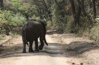IMG 1946 &ndash; &copy; Philip Seidel (Eberhardt TRAVEL)
