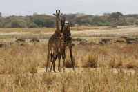 IMG 1981 &ndash; &copy; Philip Seidel (Eberhardt TRAVEL)
