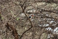 IMG 2017 &ndash; &copy; Philip Seidel (Eberhardt TRAVEL)