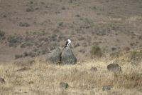 IMG 2040 &ndash; &copy; Philip Seidel (Eberhardt TRAVEL)