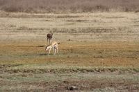 IMG 2070 &ndash; &copy; Philip Seidel (Eberhardt TRAVEL)