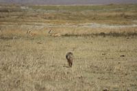 IMG 2121 &ndash; &copy; Philip Seidel (Eberhardt TRAVEL)