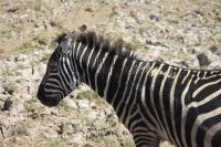 IMG 2130 &ndash; &copy; Philip Seidel (Eberhardt TRAVEL)