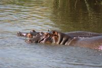 IMG 2137 &ndash; &copy; Philip Seidel (Eberhardt TRAVEL)