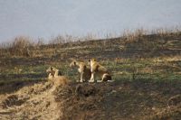 IMG 2164 &ndash; &copy; Philip Seidel (Eberhardt TRAVEL)