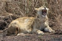 IMG 2211 &ndash; &copy; Philip Seidel (Eberhardt TRAVEL)