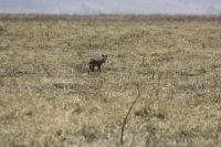 IMG 2215 &ndash; &copy; Philip Seidel (Eberhardt TRAVEL)