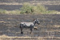 IMG 2217 &ndash; &copy; Philip Seidel (Eberhardt TRAVEL)