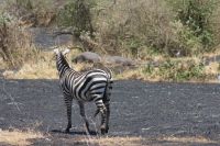 IMG 2221 &ndash; &copy; Philip Seidel (Eberhardt TRAVEL)