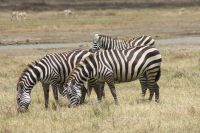 IMG 2230 &ndash; &copy; Philip Seidel (Eberhardt TRAVEL)