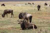 IMG 2232 &ndash; &copy; Philip Seidel (Eberhardt TRAVEL)