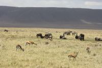 IMG 2234 &ndash; &copy; Philip Seidel (Eberhardt TRAVEL)