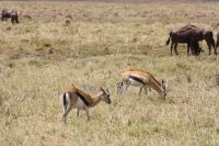IMG 2235 &ndash; &copy; Philip Seidel (Eberhardt TRAVEL)