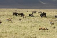 IMG 2236 &ndash; &copy; Philip Seidel (Eberhardt TRAVEL)