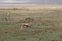 IMG 2239 &ndash; &copy; Philip Seidel (Eberhardt TRAVEL)