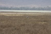 IMG 2265 &ndash; &copy; Philip Seidel (Eberhardt TRAVEL)