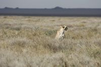 IMG 2313 &ndash; &copy; Philip Seidel (Eberhardt TRAVEL)