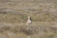 IMG 2316 &ndash; &copy; Philip Seidel (Eberhardt TRAVEL)