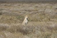 IMG 2322 &ndash; &copy; Philip Seidel (Eberhardt TRAVEL)