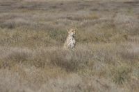 IMG 2324 &ndash; &copy; Philip Seidel (Eberhardt TRAVEL)