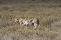 IMG 2333 &ndash; &copy; Philip Seidel (Eberhardt TRAVEL)
