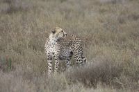 IMG 2334 &ndash; &copy; Philip Seidel (Eberhardt TRAVEL)