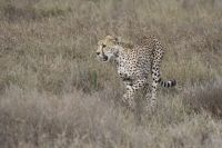 IMG 2336 &ndash; &copy; Philip Seidel (Eberhardt TRAVEL)