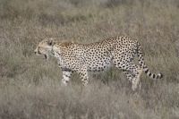 IMG 2337 &ndash; &copy; Philip Seidel (Eberhardt TRAVEL)