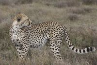 IMG 2344 &ndash; &copy; Philip Seidel (Eberhardt TRAVEL)