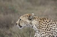 IMG 2346 &ndash; &copy; Philip Seidel (Eberhardt TRAVEL)