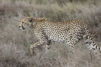 IMG 2348 &ndash; &copy; Philip Seidel (Eberhardt TRAVEL)