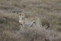IMG 2355 &ndash; &copy; Philip Seidel (Eberhardt TRAVEL)