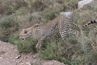 IMG 2359 &ndash; &copy; Philip Seidel (Eberhardt TRAVEL)
