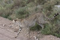 IMG 2360 &ndash; &copy; Philip Seidel (Eberhardt TRAVEL)