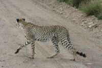 IMG 2361 &ndash; &copy; Philip Seidel (Eberhardt TRAVEL)